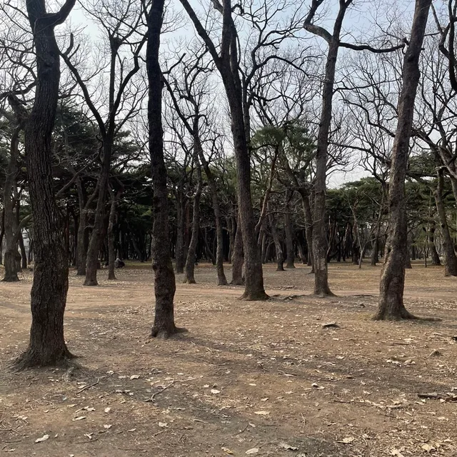 하하하