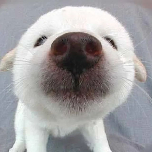 냠냠
