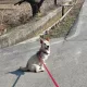 쿨거래