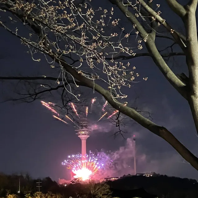 용산남매맘