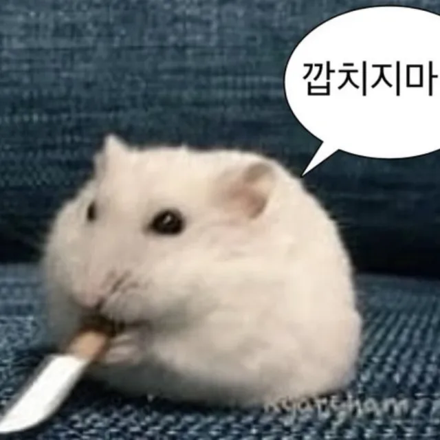 소서노패스