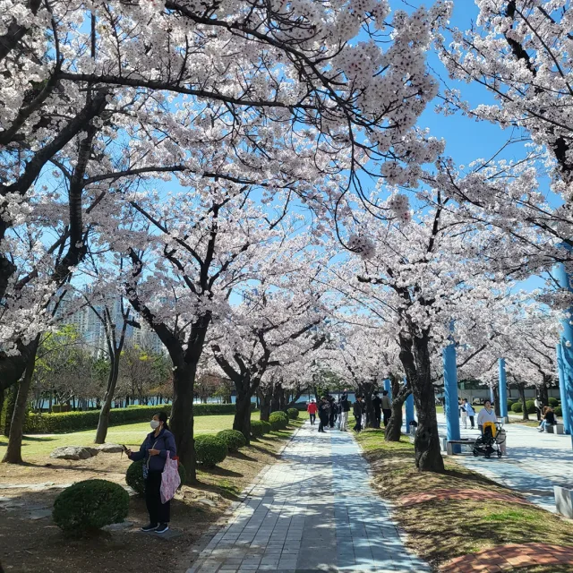 수지