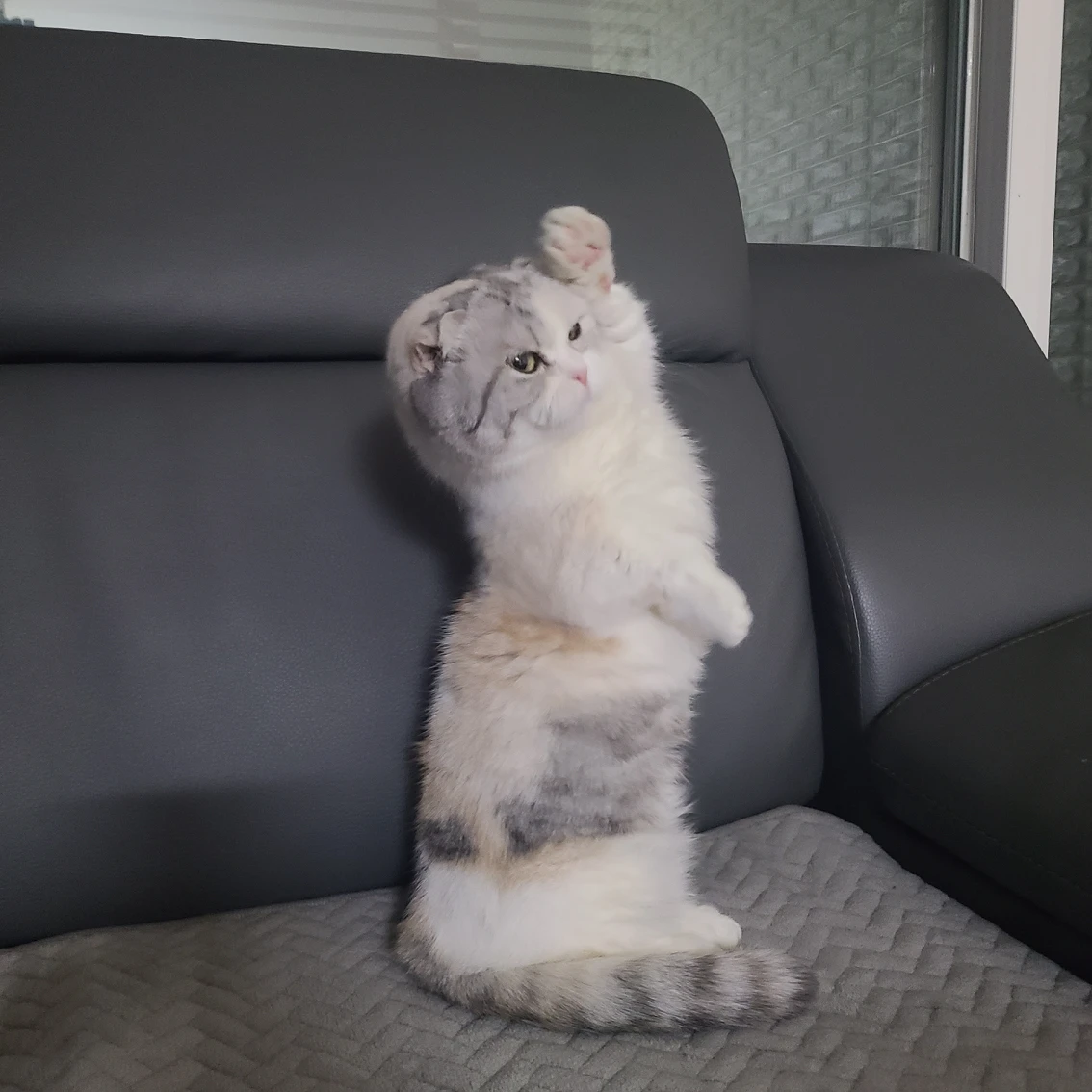 건이