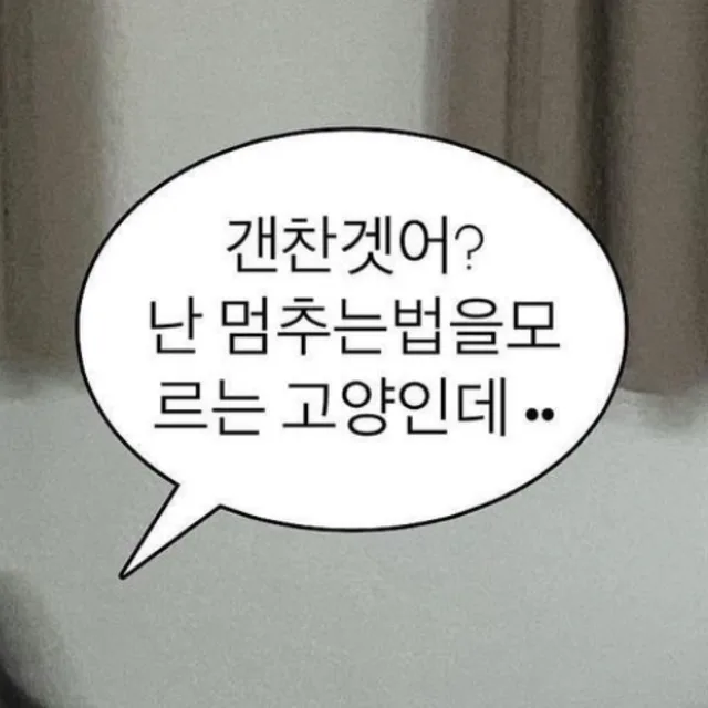 아메리카노조아