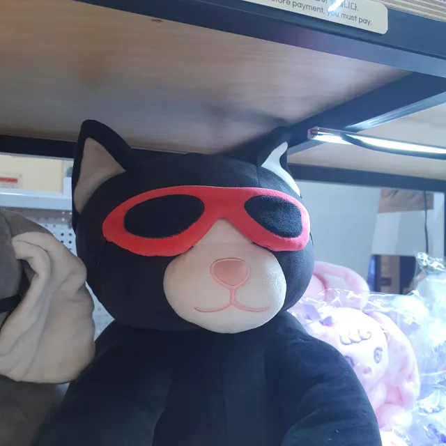 힙한고양이