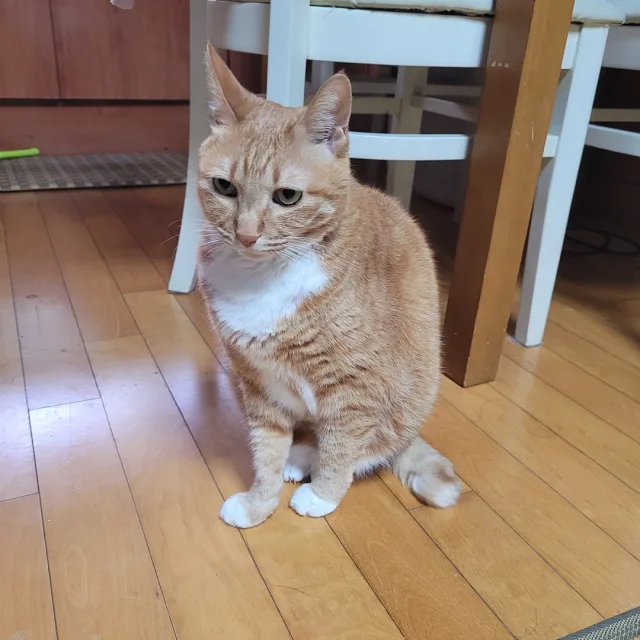 모래엄마