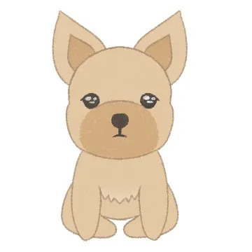 초키