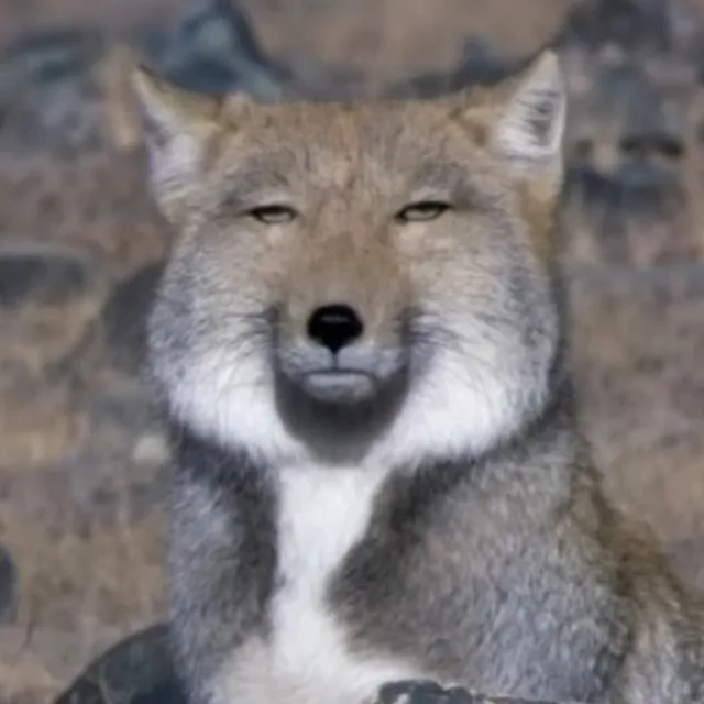 물화수탄
