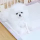 히트상품