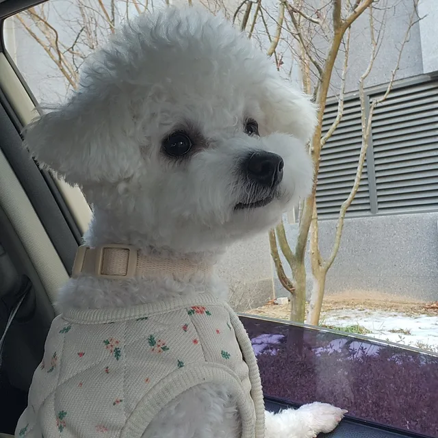 멍몽