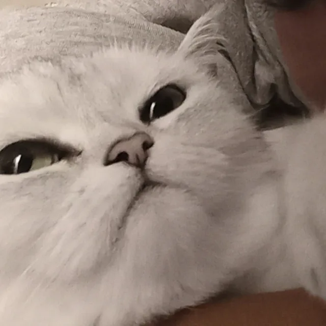 좀뱅