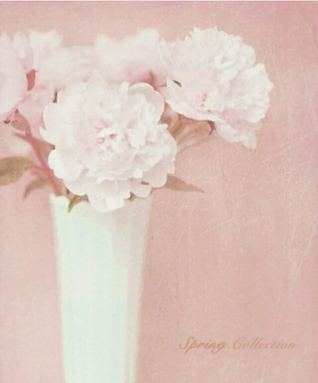 caramia