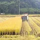 간판싸인몰