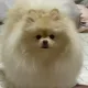 해피엔딩