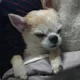 니코성형한코