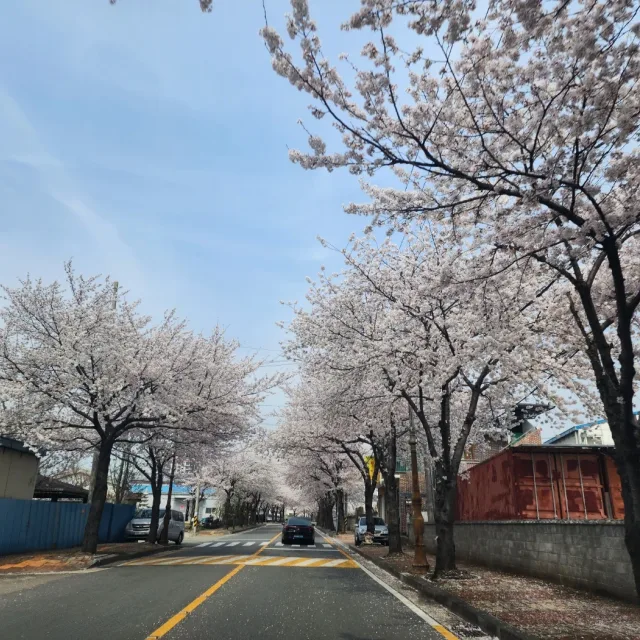 덕쩐