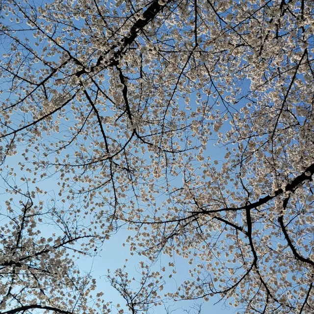 괜찮네