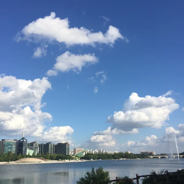 억새풀