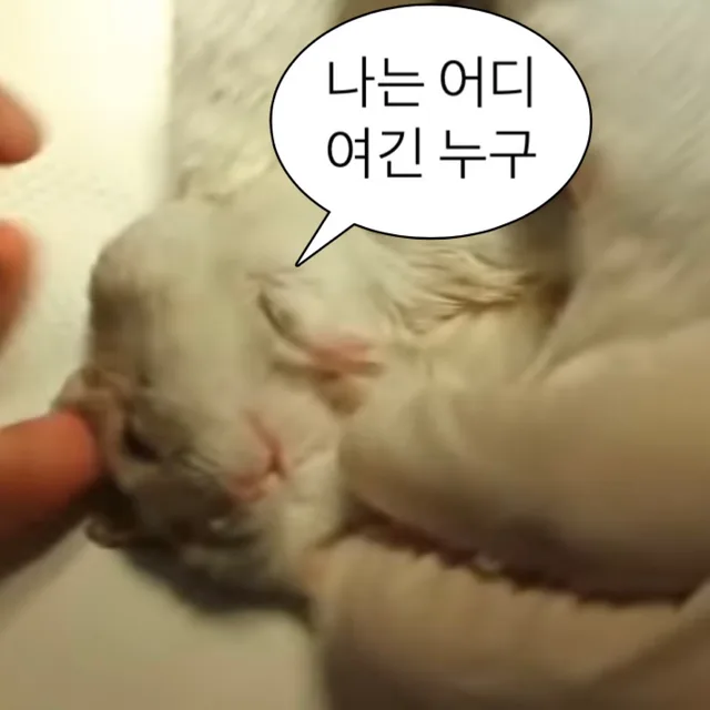 이너피스
