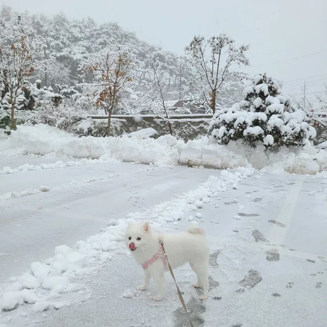 생활백서
