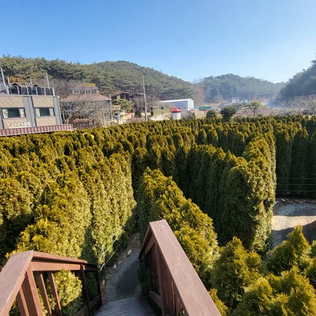 써니