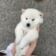 아야어야