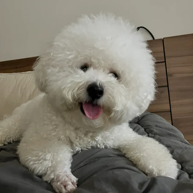 다팔아버려