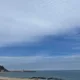 당근당근당근