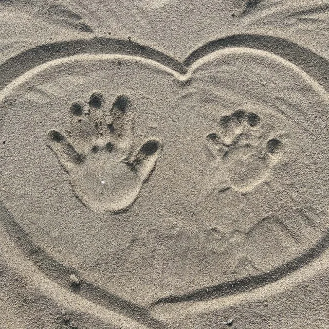 오니언