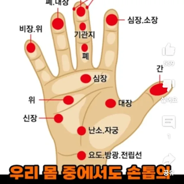 건강지킴이