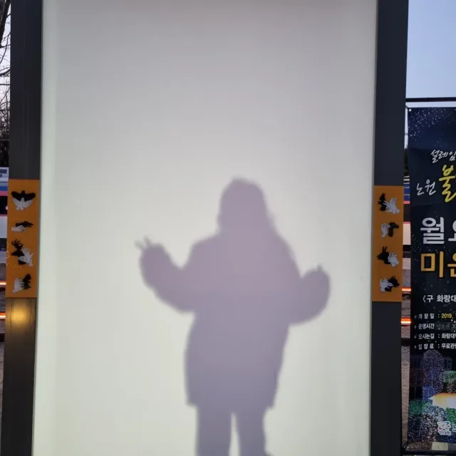 허브