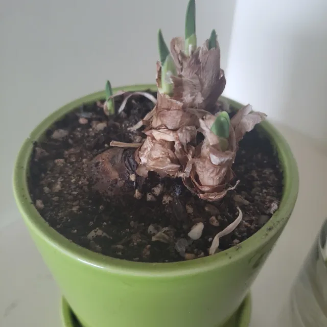 서진사랑