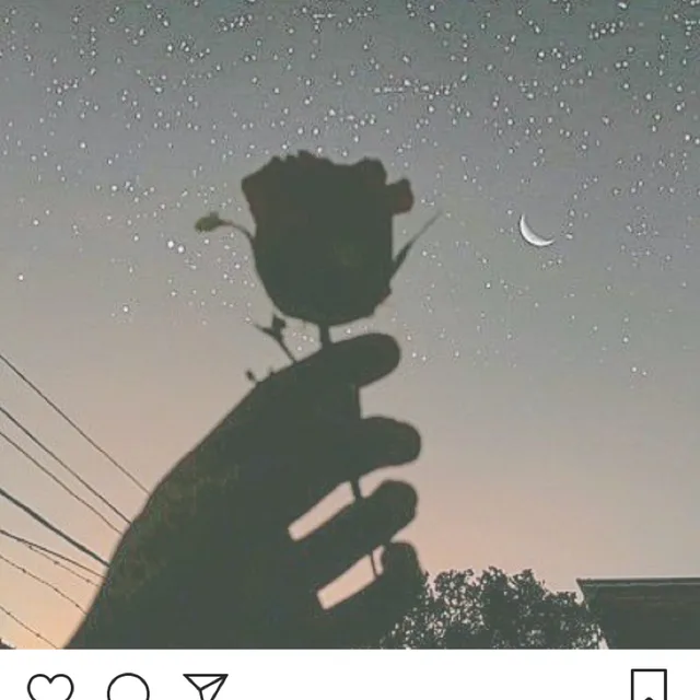 슈가레빗
