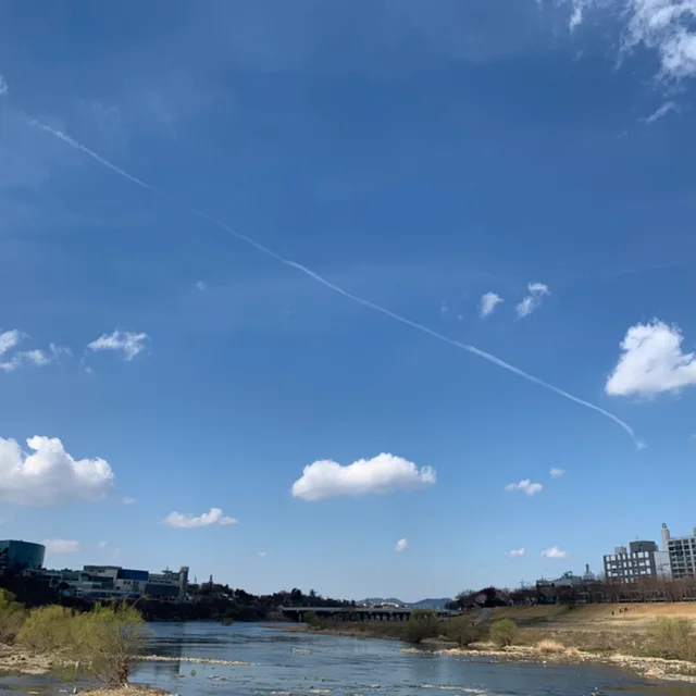 바다처럼