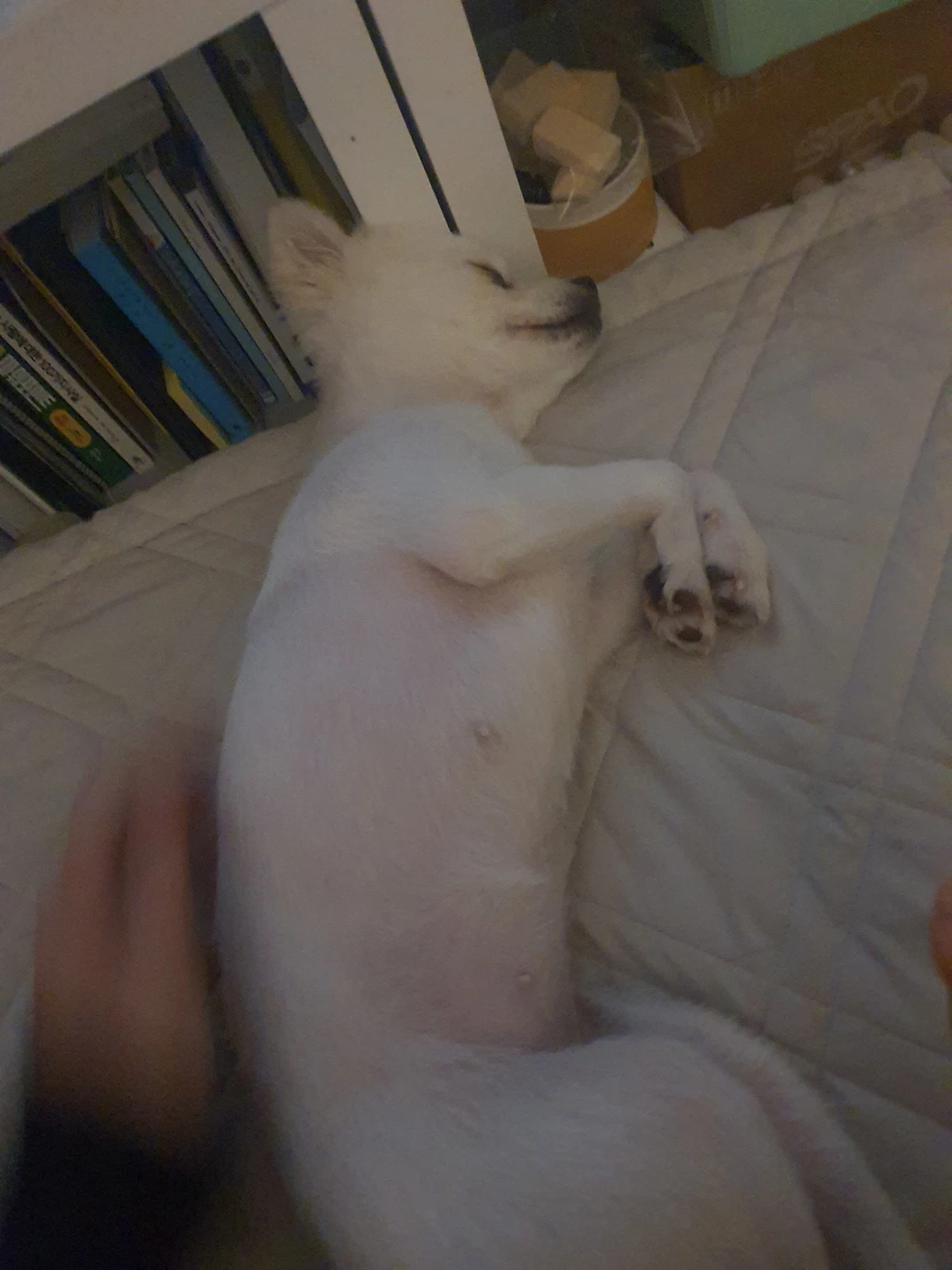 사고팔고