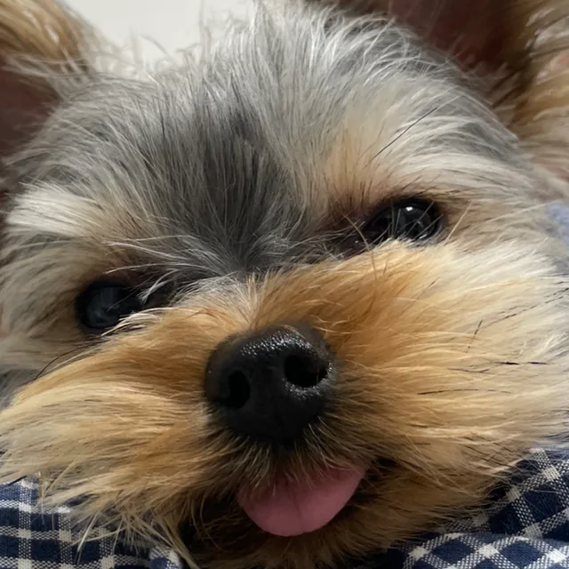 하이루루루