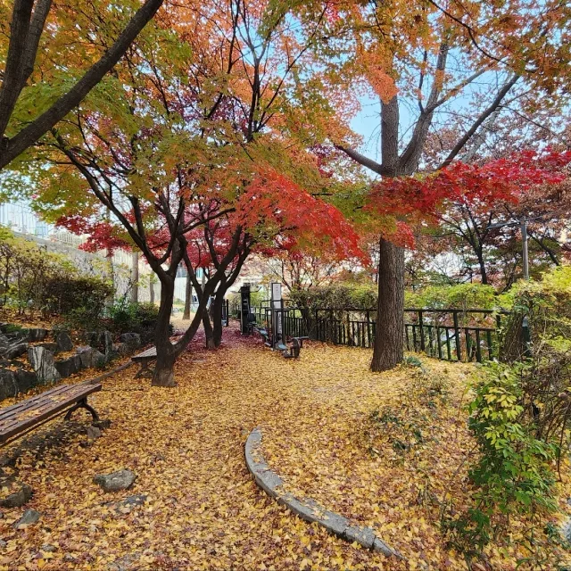 뭉게구름