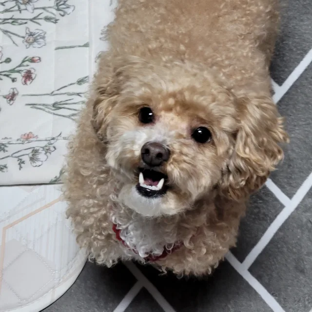 블랙103