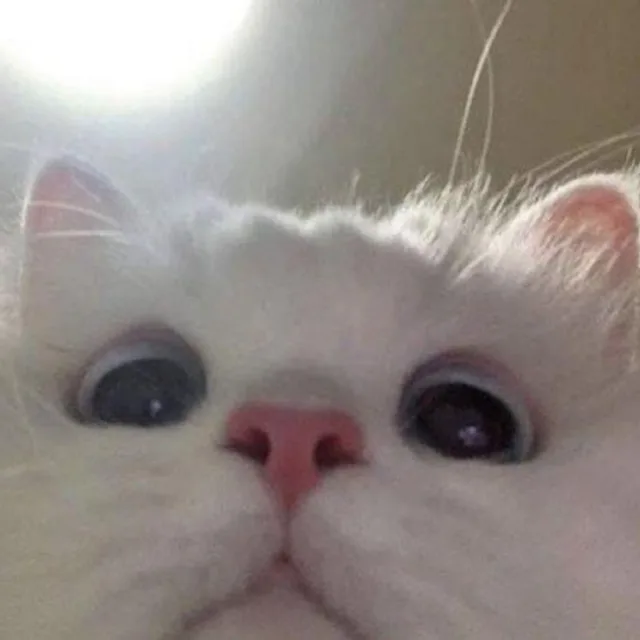 BINIMON