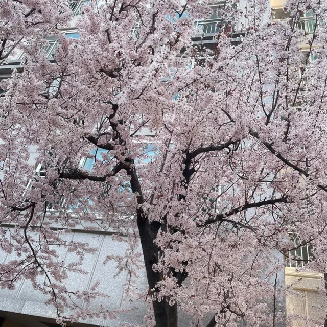코앤느