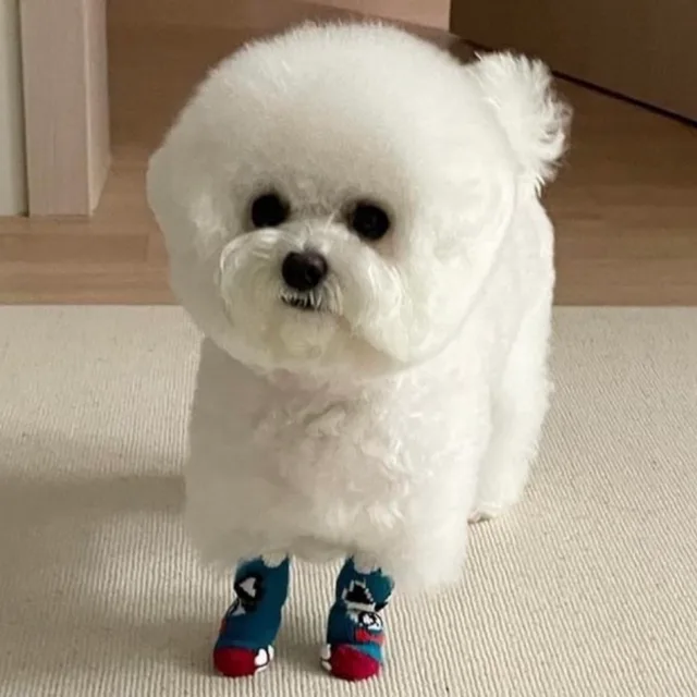 휴대폰테블릿워치전문