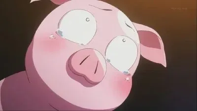 라이아라