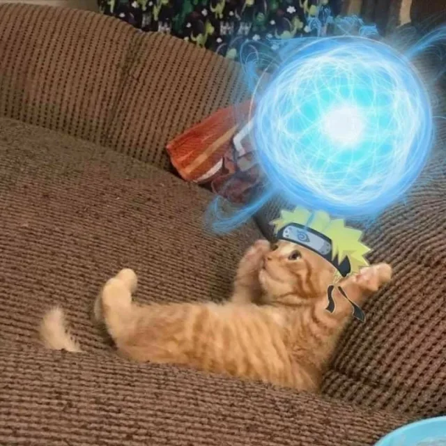 검둥이