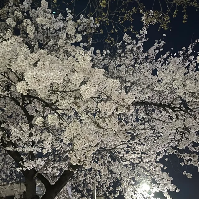 조이
