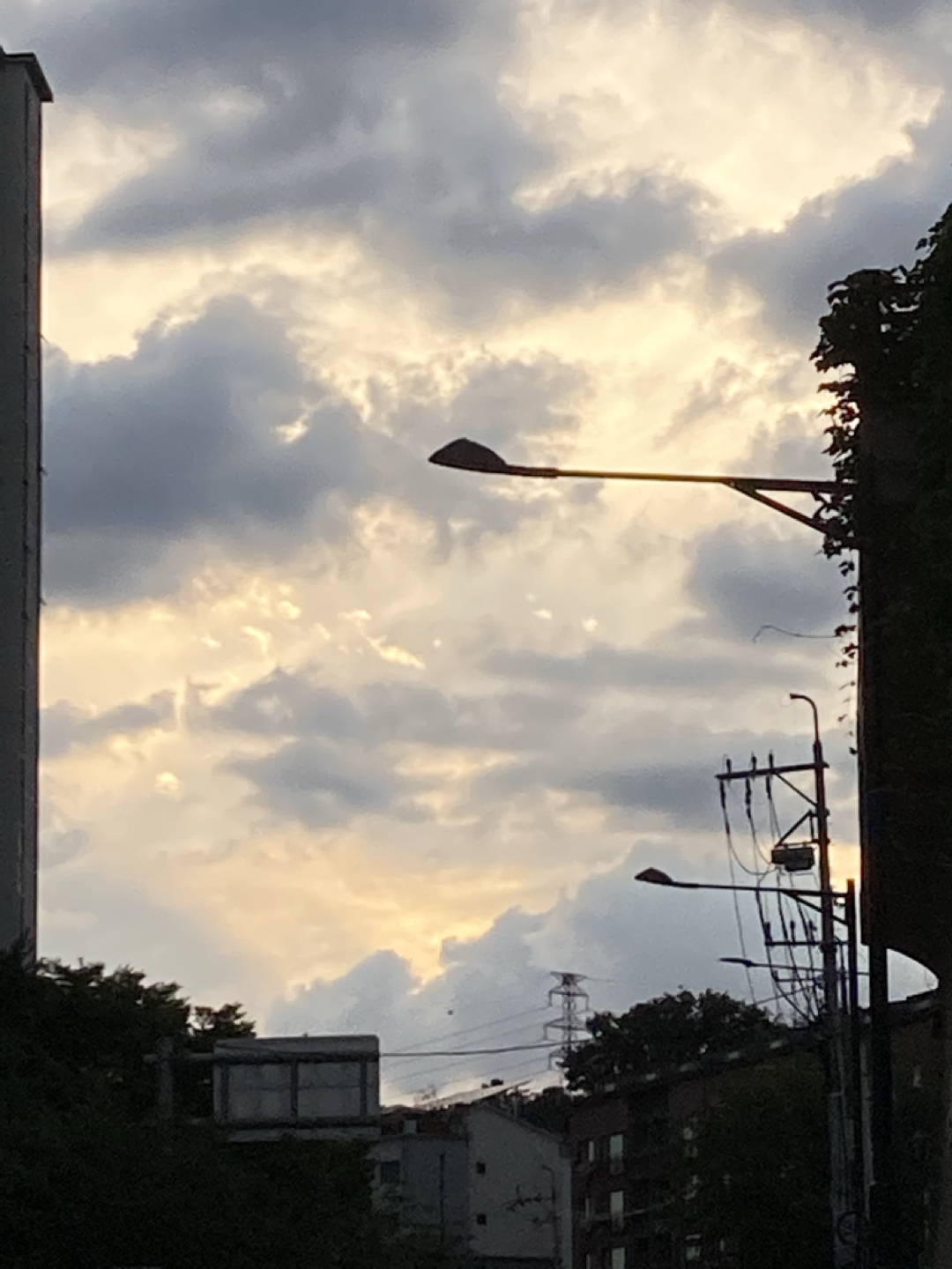 토롱