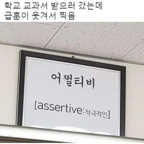 잿빛토끼