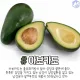 아보카도