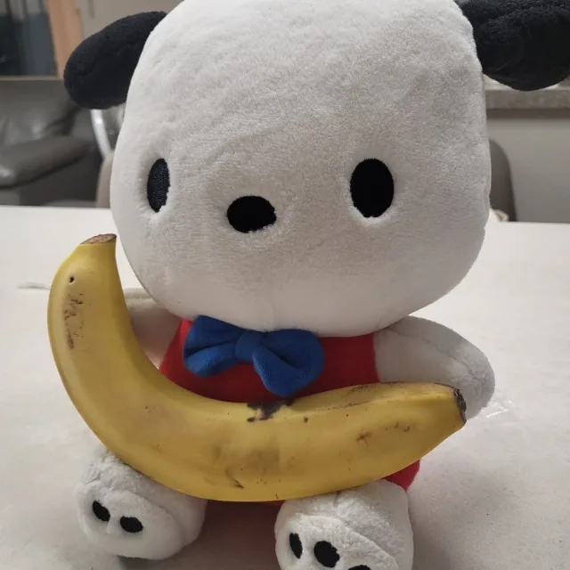 흰차코