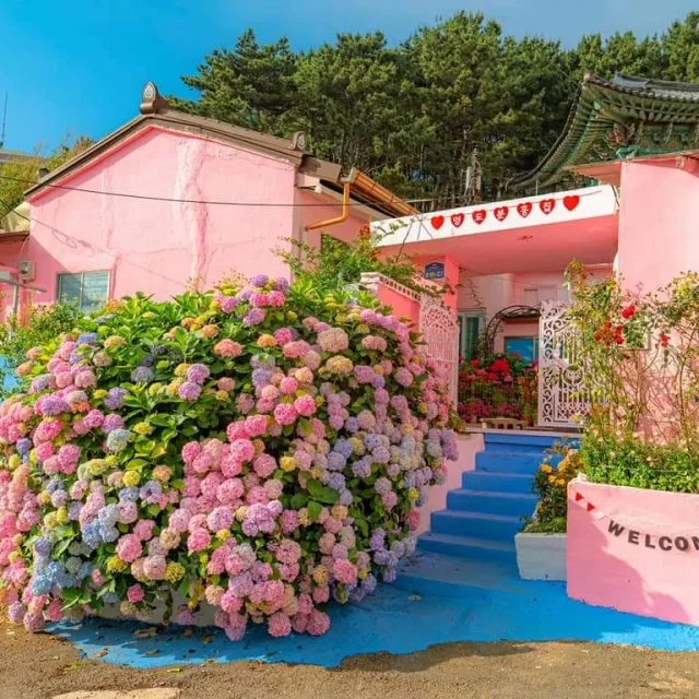 이릴리
