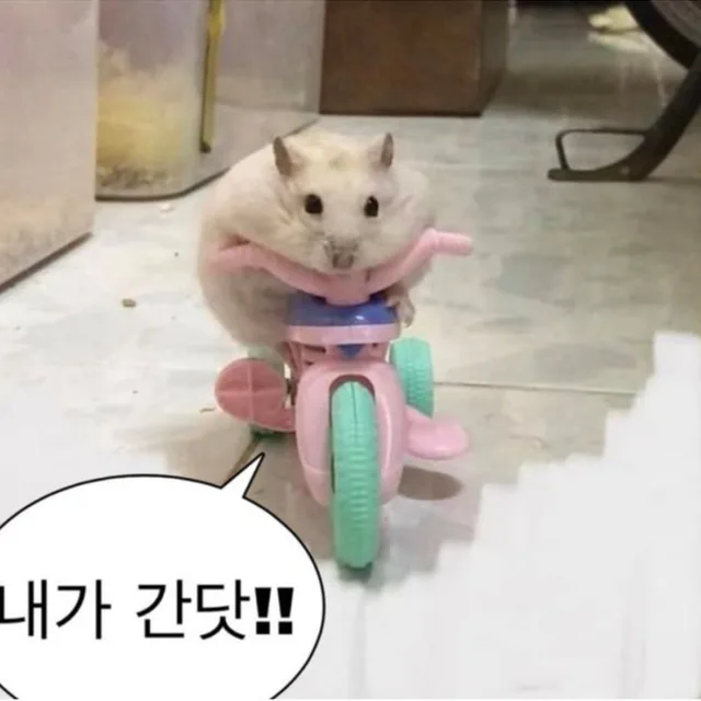 방탈출하고싶어요